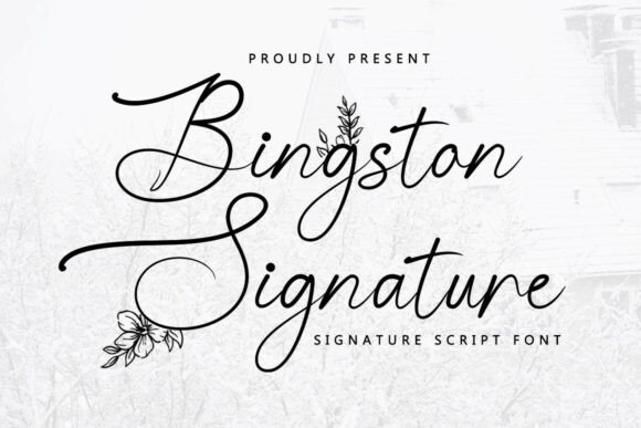 Bingston Signature: A Touch of Elegance in Every Stroke